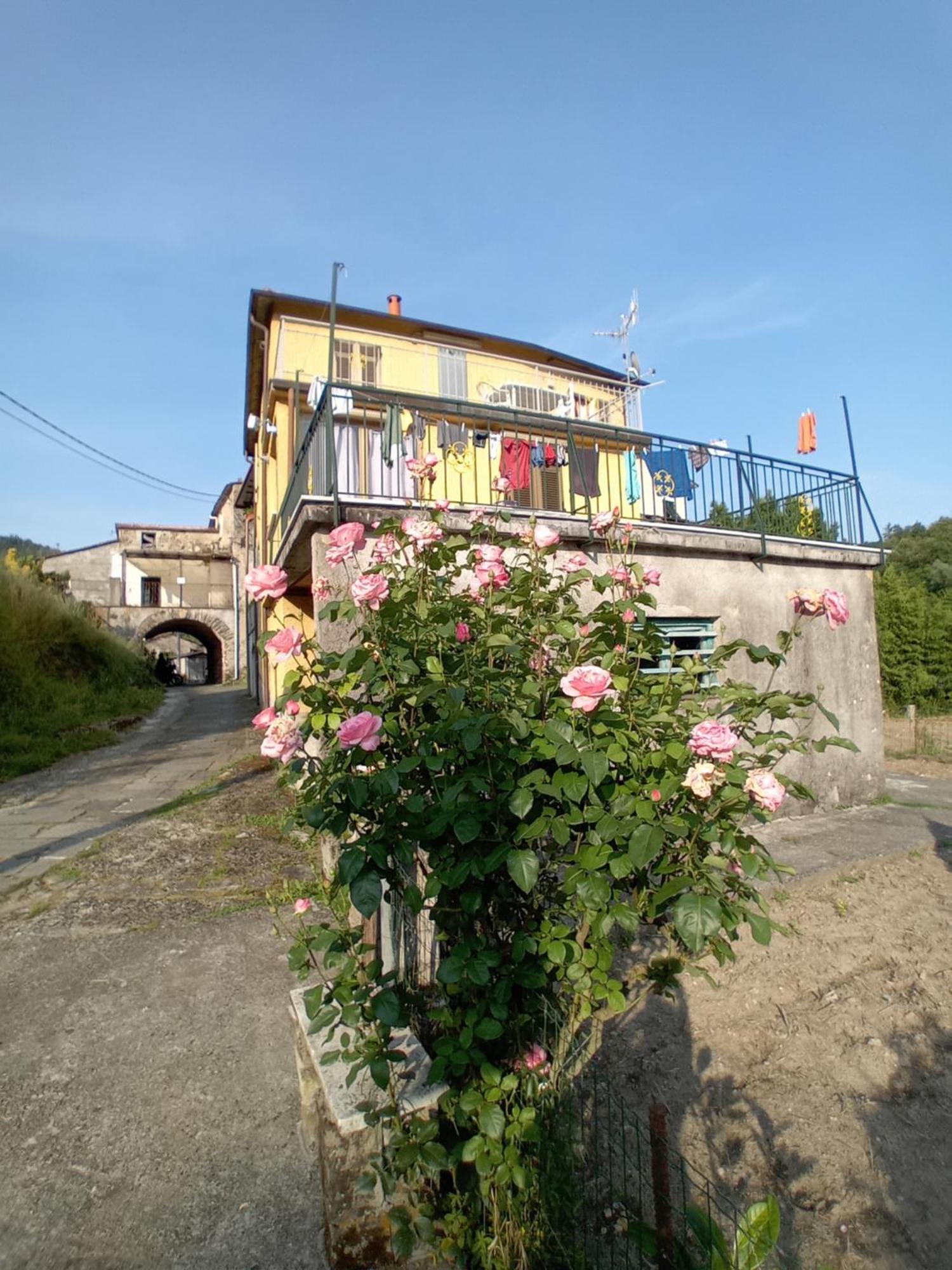 Agriturismo Ghirlanda Norma Rita Carrodano Inferiore Εξωτερικό φωτογραφία